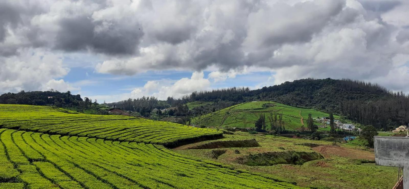 Bed and Breakfast Rose Garden Enclave For Families & Executives Ooty Exterior foto