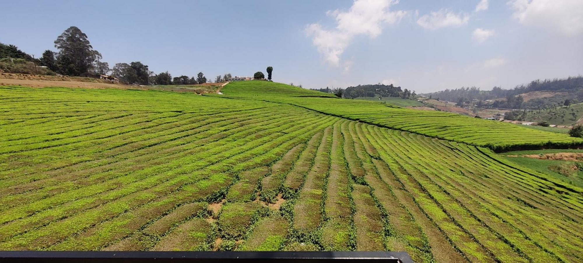 Bed and Breakfast Rose Garden Enclave For Families & Executives Ooty Exterior foto