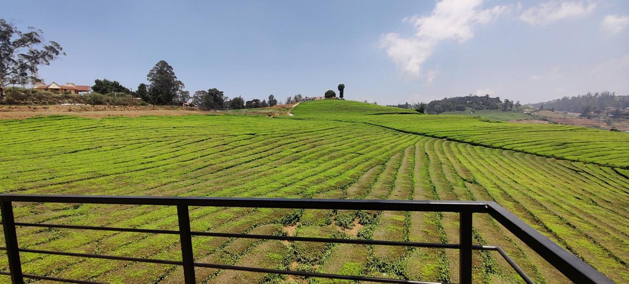 Bed and Breakfast Rose Garden Enclave For Families & Executives Ooty Exterior foto
